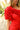 Vestido Raflessia Red