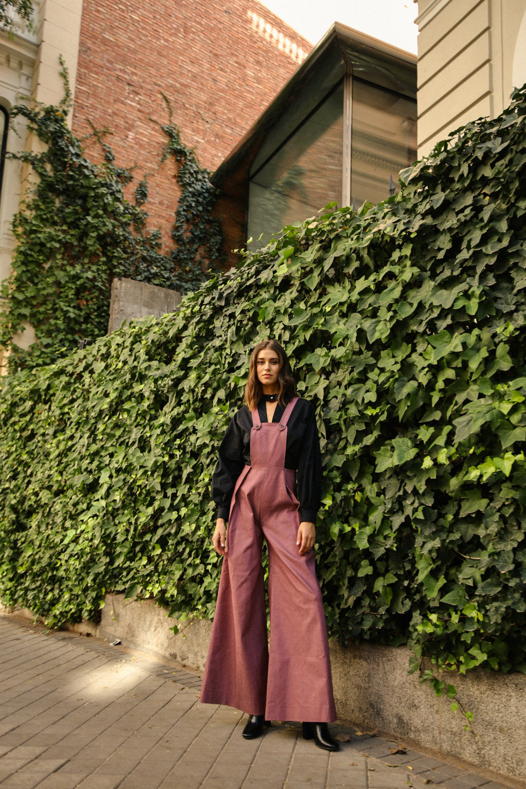 Peto Atlante Mauve