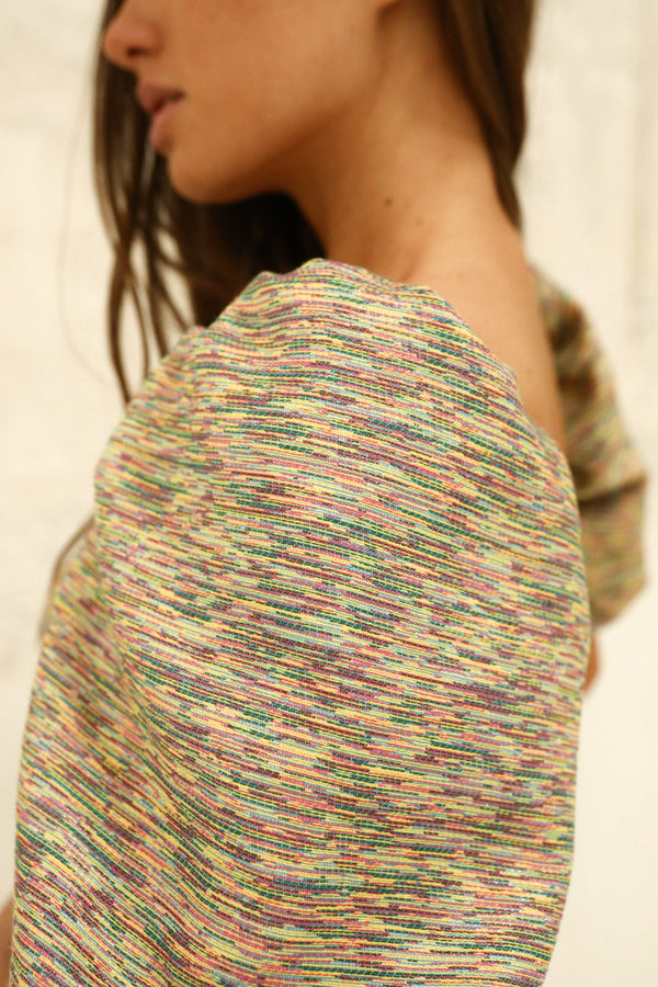 Dahlia Multicolor (Top)