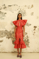 Rhodes Jacquard